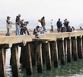 Fishing from Fort Point Pier
