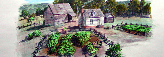 the bennet plantation