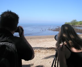 Visitors watching sharks at the Royal Courtyard.