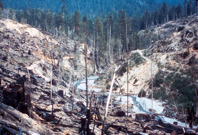 Hillsides that have been logged surround a creek