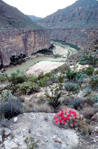 A Lower Canyons View