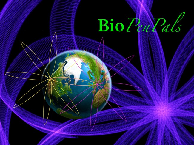 BioPenPals art