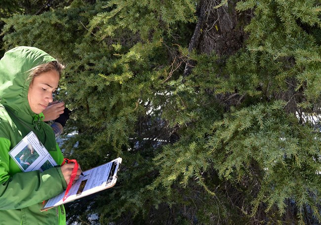 A student records data on a clip board in a snowy forest.