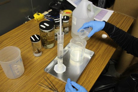 In a lab, a person with gloved hands pours a clear liquid into a beaker.