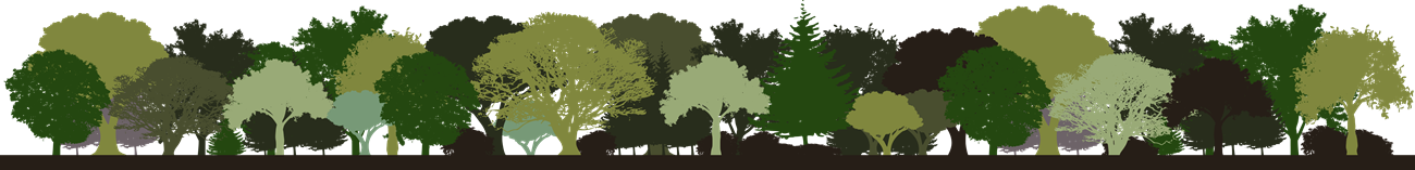 Footer: silhouette of a forest in many layered greens