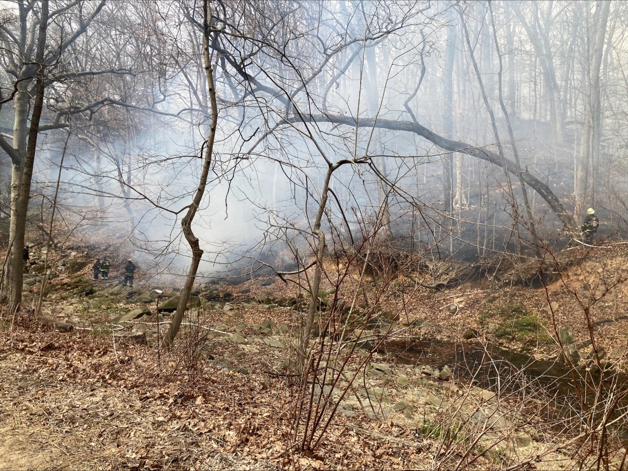 DC Fire firefighters working to extinguish the brush fire on sloped, forested area.