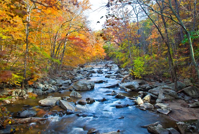 Water rushes over the rocky creek bed of Rock Creek under trees with orange and red leaves.