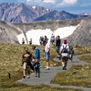 Families walk on a tundra path