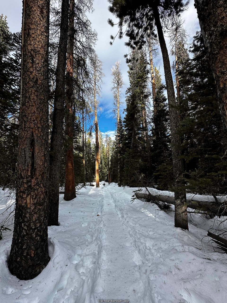 Snowy trail to Bierstadt Lake 11/14/2024