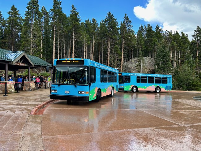 Two park shuttle buses are dropping passengers off at Bear Lake Shuttle Stop