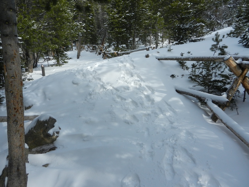 Deep Snow on the Bear Lake Loop Trail