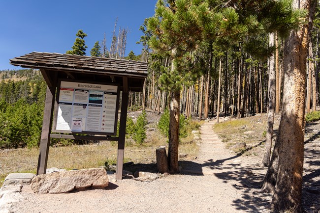 Bierstadt Lake Trailhead