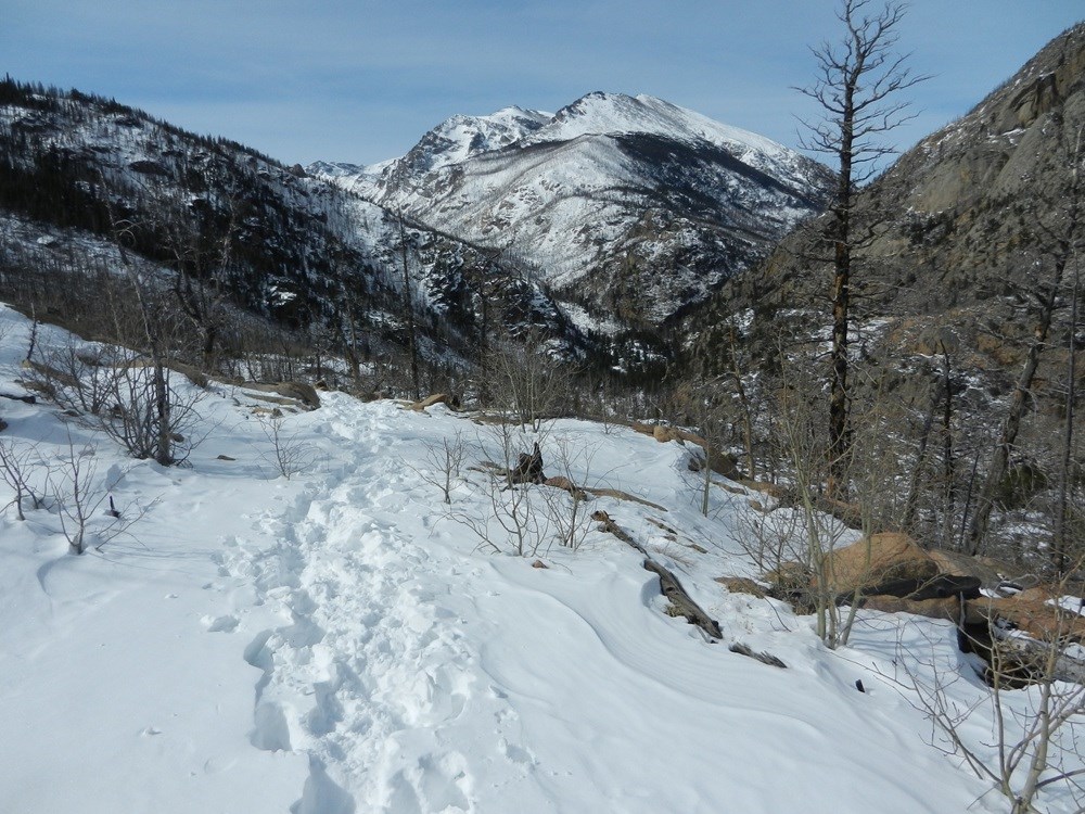 Deep Snow on Cub Lake Trail and Stones Peak