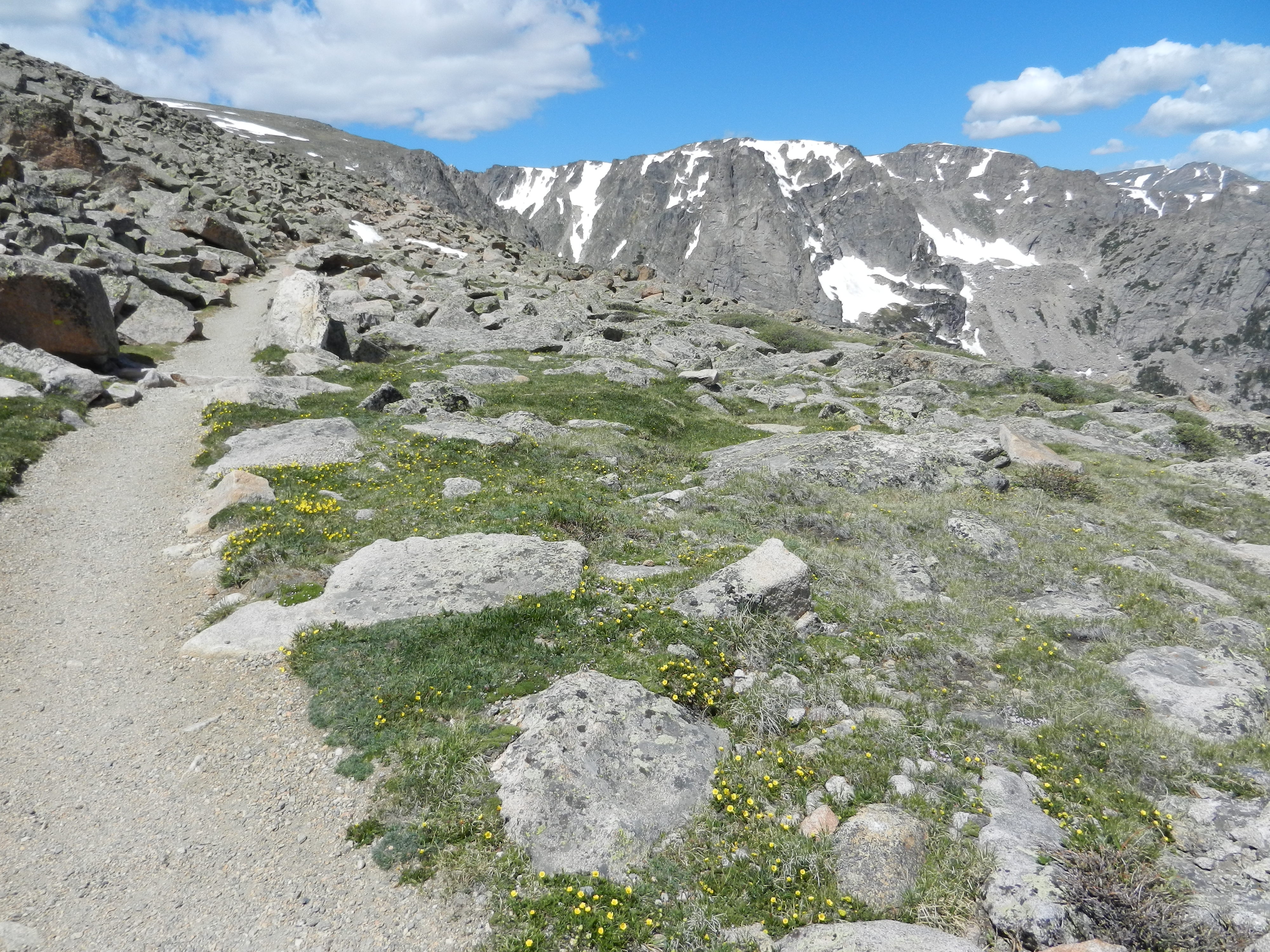 Flattop Mountain Trail near Emerald Lake Overlook on June 15, 2026