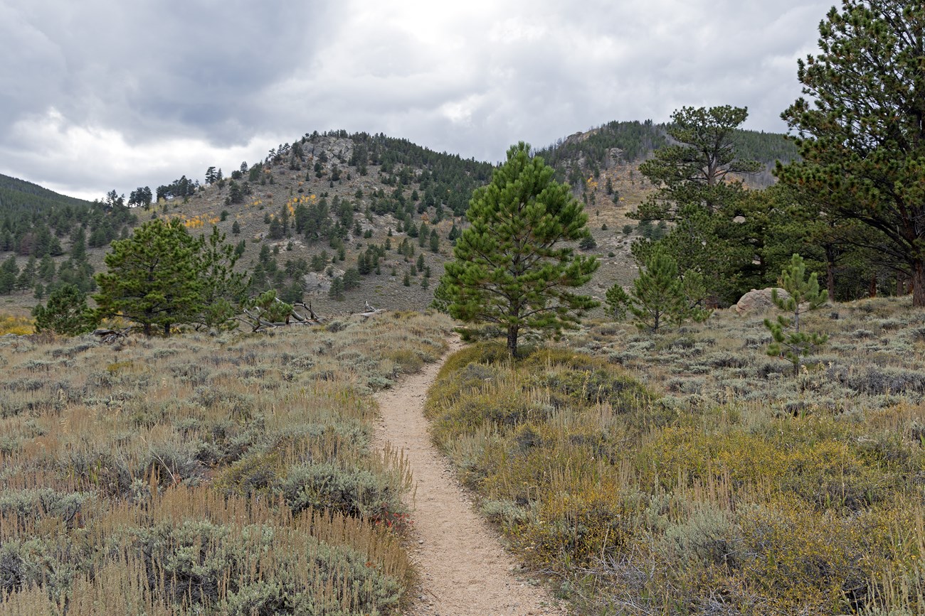 Hollowell Park to Cub Lake Trail