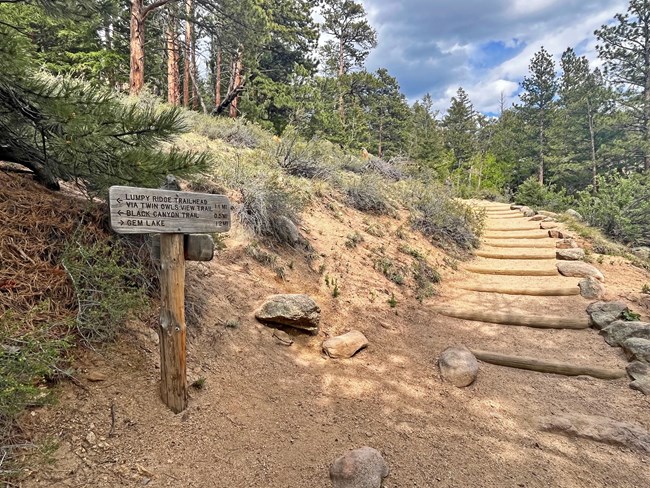 Gem Lake Trail with a sign and wooden steps