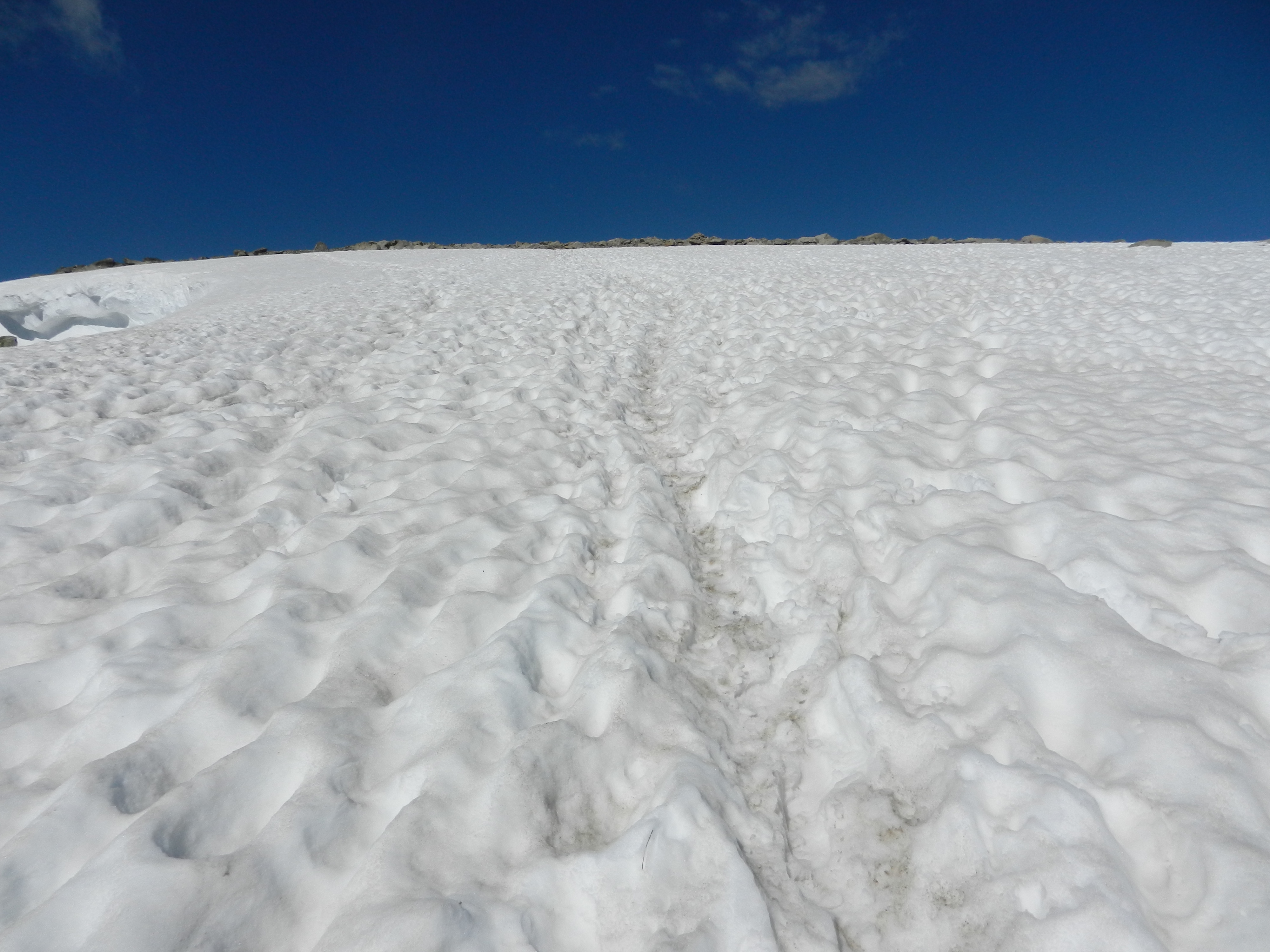 Snowfield on the trail to the Summit of Flattop Mountain_June 15, 2026