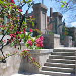 Hahn Memorial Spring time