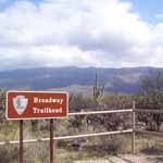 Enjoy a hike in the cactus forest