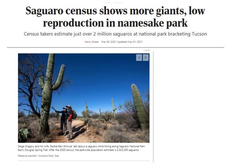 A screen shot from a news article titled "Saguaro census shows more giants, low reproduction in namesake park." with small text below and an image of people counting saguaros.