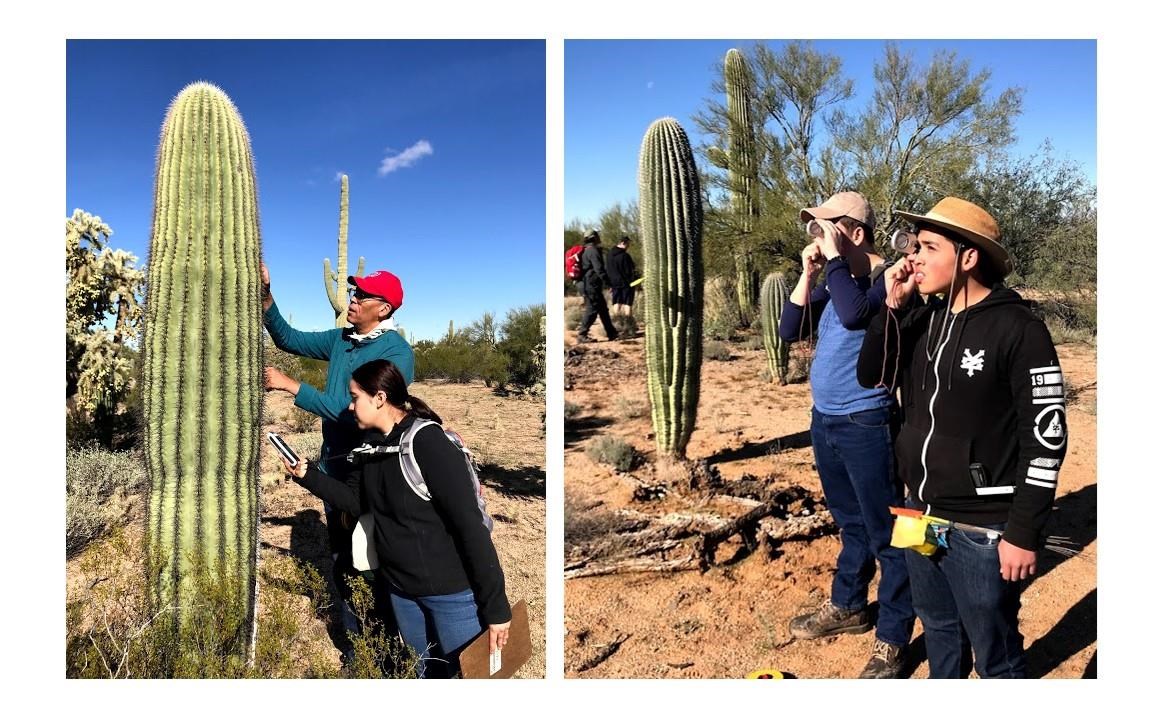 Two vertical images side by side. The left has an adult male helping a young female student measure a saguaro's height. The right image has two male students looking through a clinometer to study saguaros.