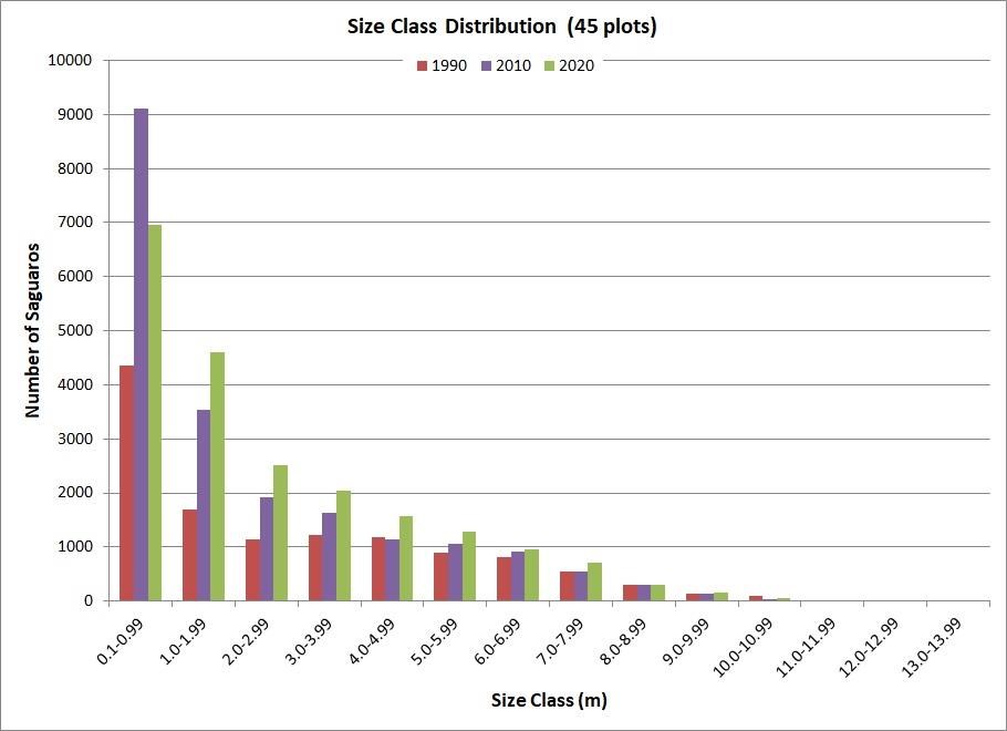 A bar graph titled "Size Class Distribution" with size ranges from 0.1m to 13.99m. A roughly exponential decrease is shown from smallest size range to biggest.