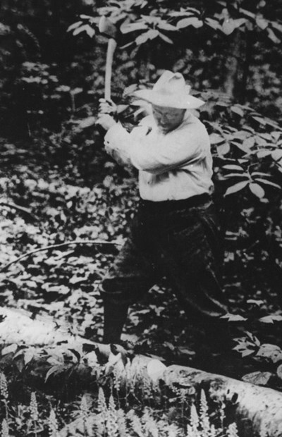 Theodore Roosevelt chops a log in dense foliage.