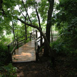 Nature Trail to Eel Creek and the beach at Cold Spring Harbor.