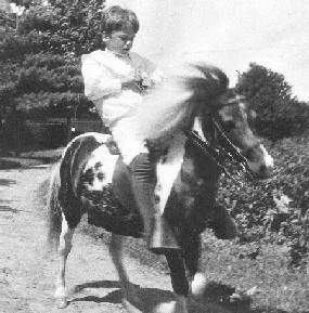 Quentin Roosevelt, the president's youngest son, rides his pony, Algonquin, around Sagamore Hill.