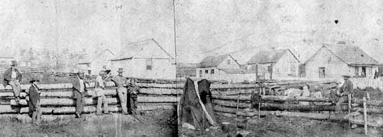 Belle Vue Sheep Farm in Spetember 1859.
