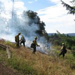 fire crew on Young Hill slope
