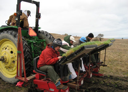 NPS staff and volunteers work fast aboard a Hedlin Farm plug planting machine on the American Camp prairie.