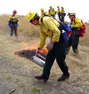 An Olympic National Park fire crew tends a prescribed on the American Camp prairie to eliminate nonnative species in preperation for Roemer's fescue plug planting.