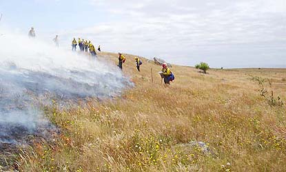 Olympic NP and San Juan Island NHP fire crews.