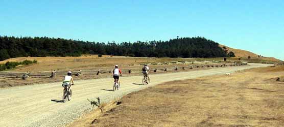 Cyclists on the Redoubt Road at American Camp.