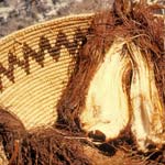 Native American basket