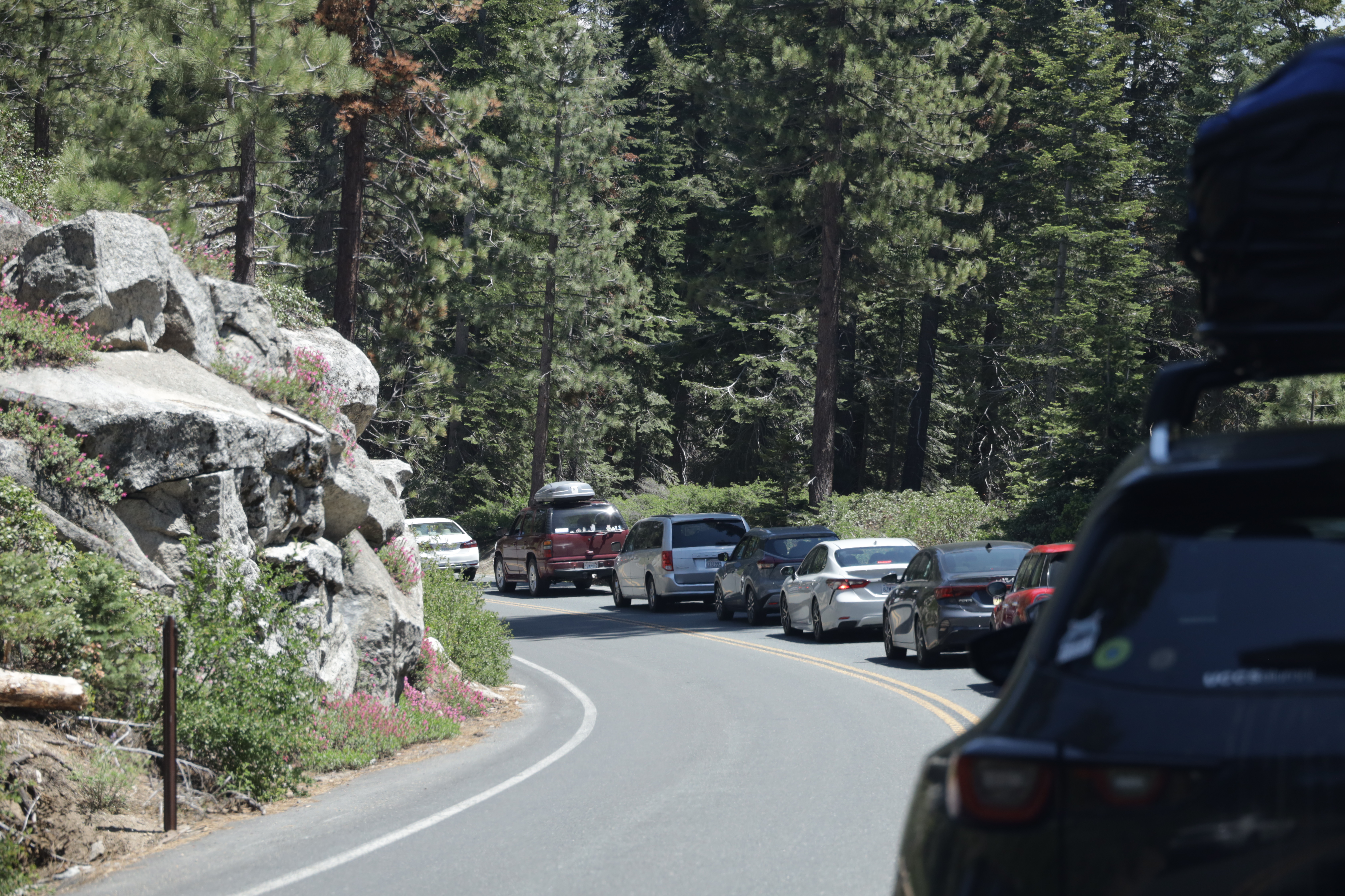 Traffic congestion in the Lodgepole area of Sequoia National Park.