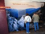 Visitors studying the exhibit.
