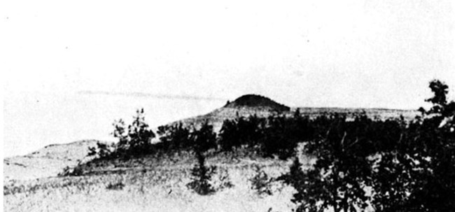 Historic photo of wooded dune that resembles a bear sleeping