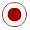 Indicator button
