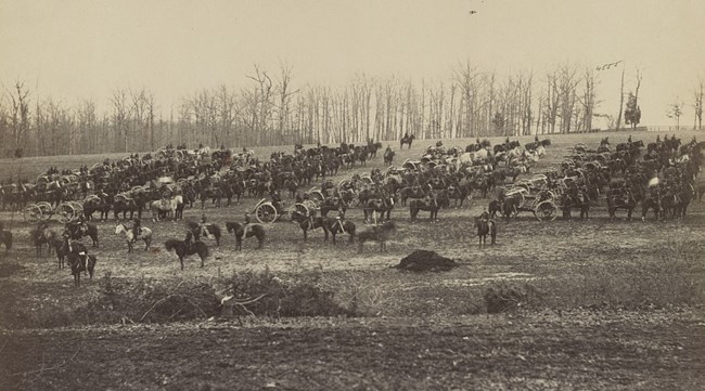 Black and white image of horses pulling artillery. Dead horse lies in foreground.