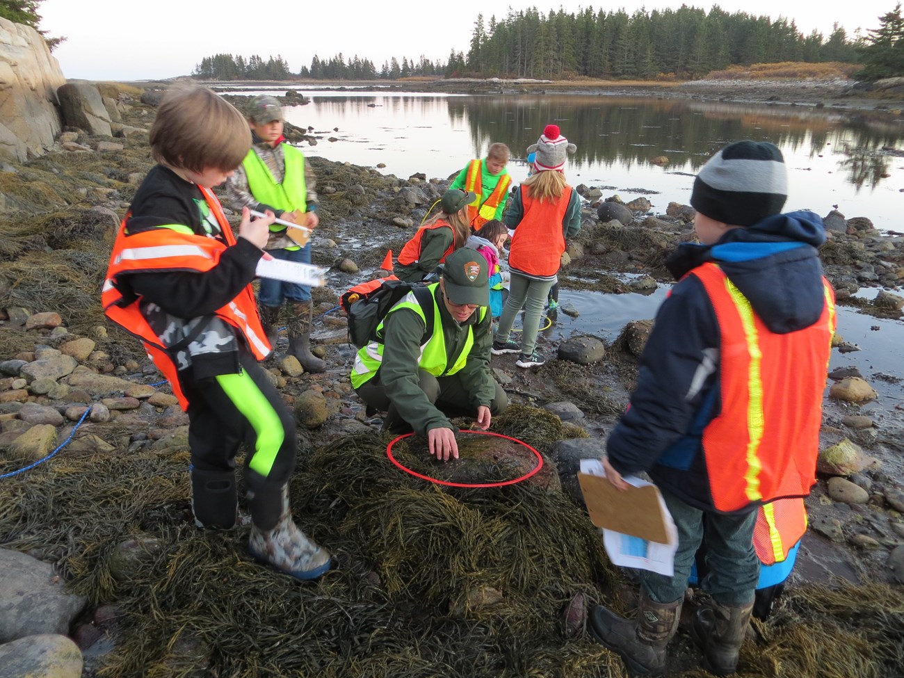 A ranger and kids examine an intertidal rock