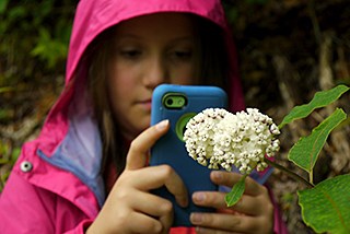 A youth take a picture of a flower with a smartphone