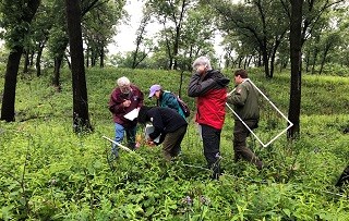 a group of researchers bend and examine vegetation