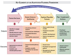 NPS Adaptive Planning Framework
