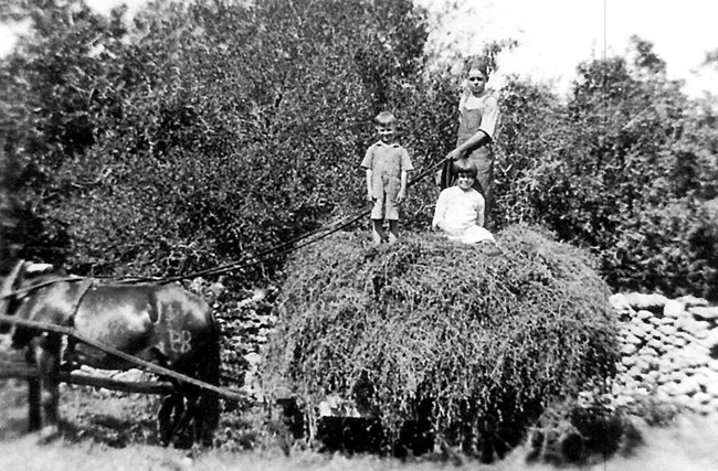 Three young people sit atop a pile of hay on a wagon bed, pulled by a horse. A stone wall and trees are in the background.