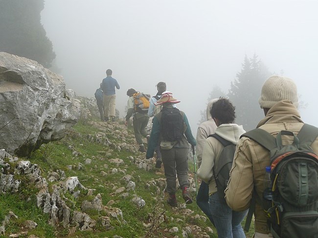 Trekking in the misty Lebanon Mountains.