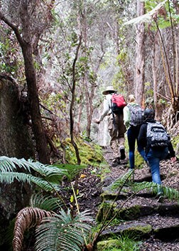 Hikers climb the Halemau'u trail, Hawai'i Volcanoes National Park.
