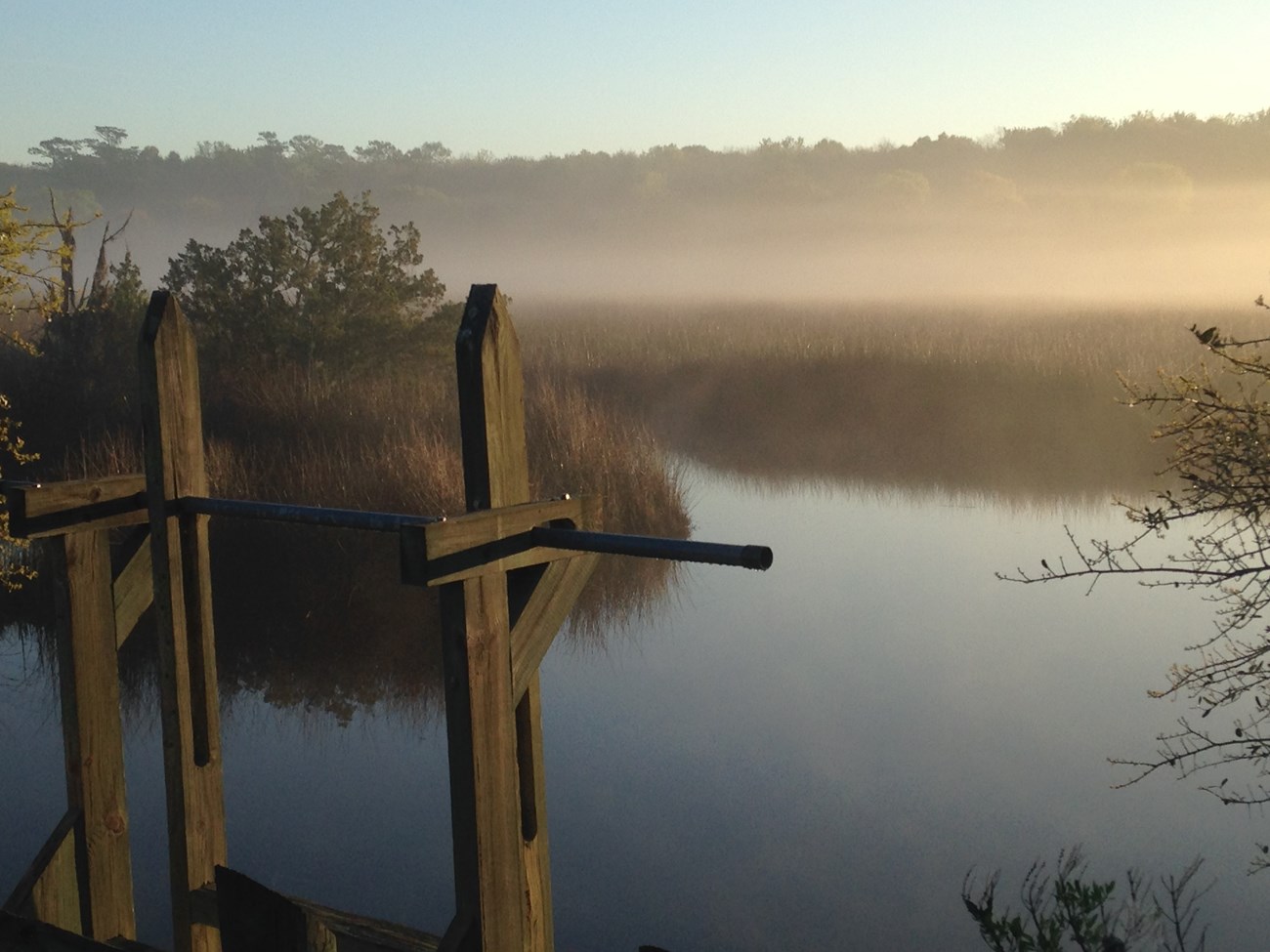 Morning fog over a river hauntingly hovers between the sky and the plant life living in the river.