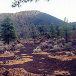 Cinder fields along Lava Flow Trail.